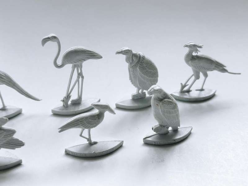 11 of 12 of the Extremely rare 1961 COCA COLA South Africa 1960s FANTA SOUVENIR COLLECTION OF BIRDS
