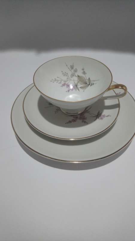 hutschenreuther hohenberg germany cup and saucer