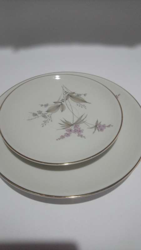 hutschenreuther hohenberg germany cup and saucer