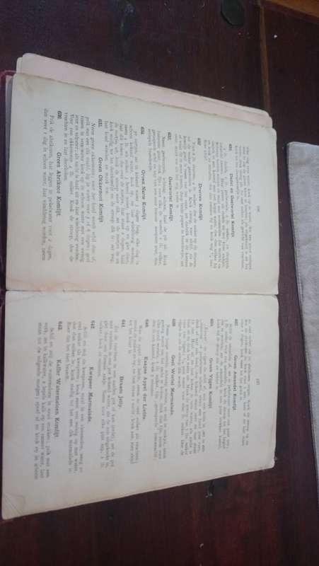 oranje kook-koek-en resepten boek 1913
