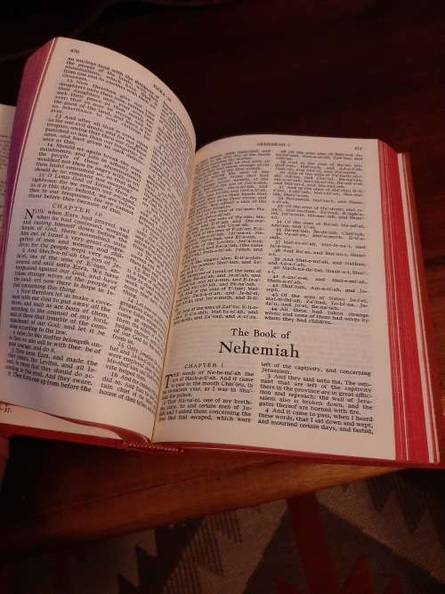 holy bible 1961
