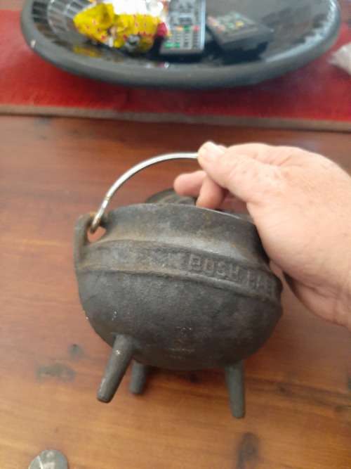 black pot bushbaby