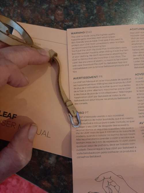 Bellabeat leaf