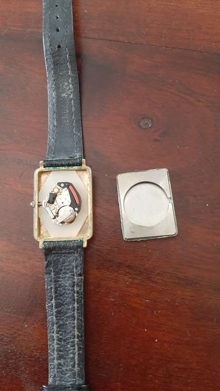 Rotary watch ladies