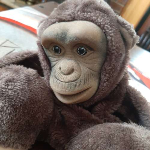 monkey hand puppet