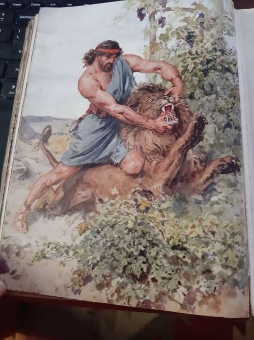 Through the bible