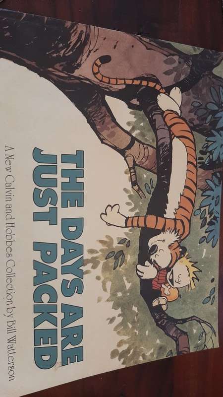 The days are just packed a new calvin and hobbes collection