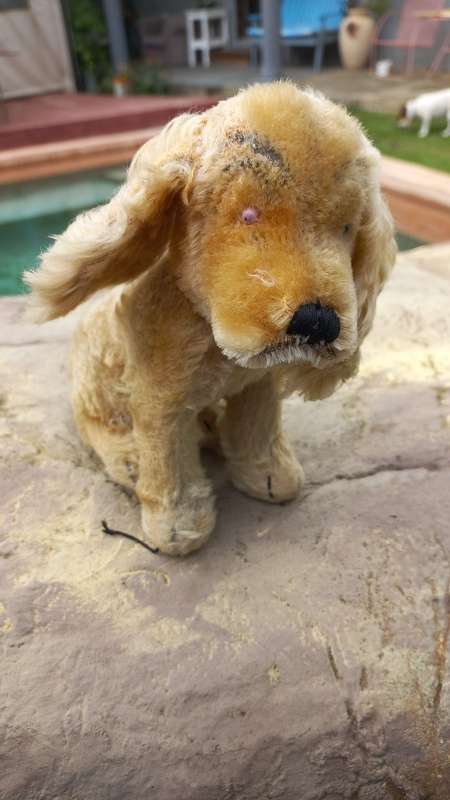 Mohair vintage dog