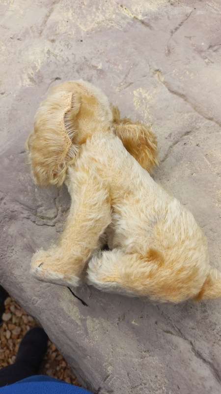 Mohair vintage dog
