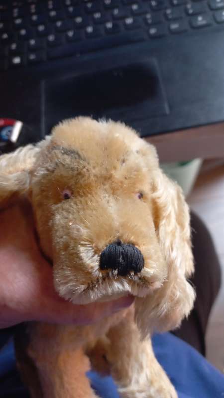 Mohair vintage dog