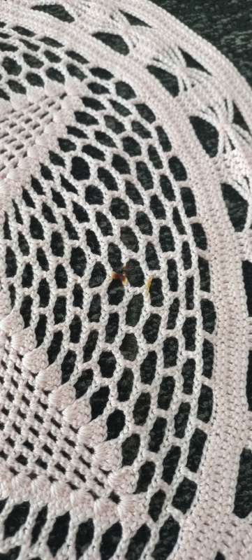 Round vintage crochet cloth
