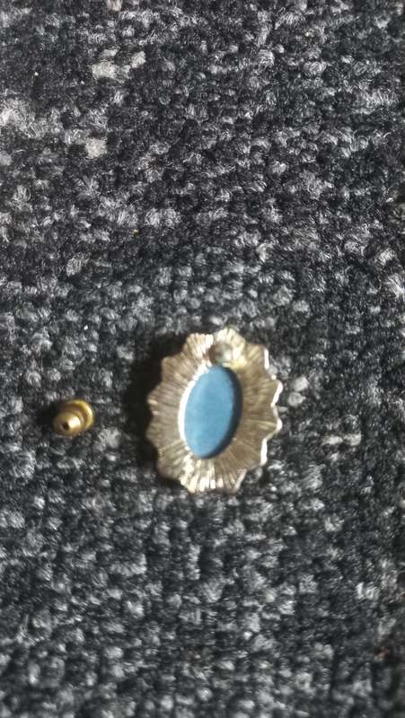 Vintage blue cameo earrings