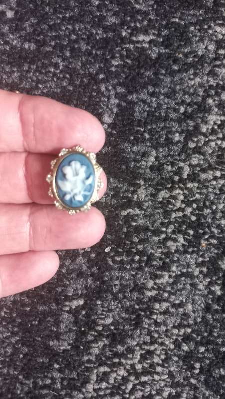 Vintage blue cameo earrings
