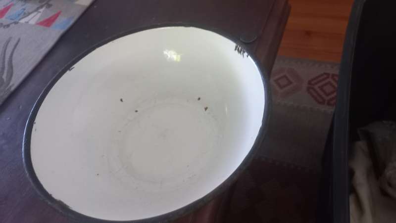 Vintage enamel bowl