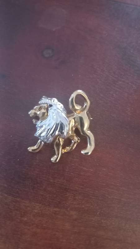 Vintage brooch lion