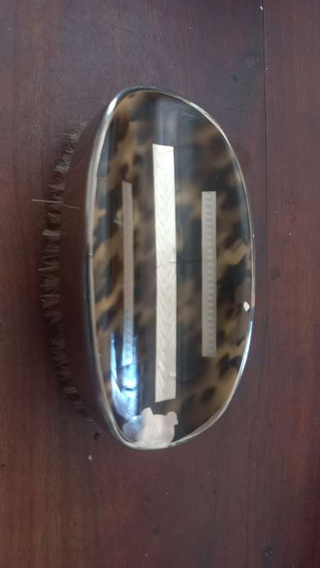 Vintage turtle look brush