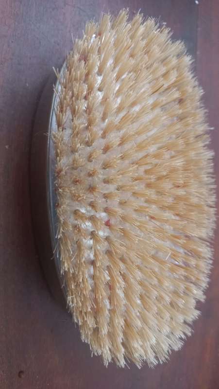 Vintage turtle look brush