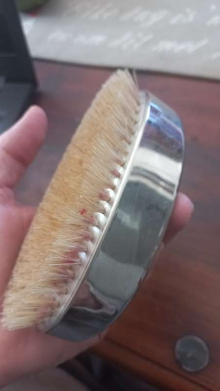 Vintage turtle look brush