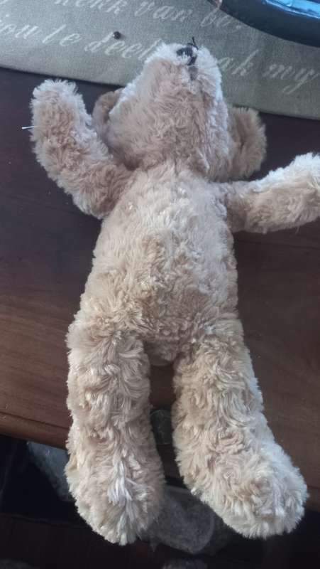 Russ teddy bear