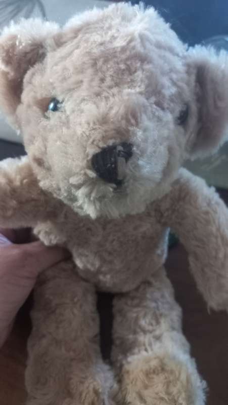 Russ teddy bear