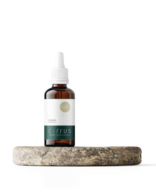 CIRRUS Organic - Essential Oil (50ml)
