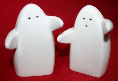 A MAGNIFICENT SALT AND PEPER SHAKER DIFFERENT AND FUN!!!