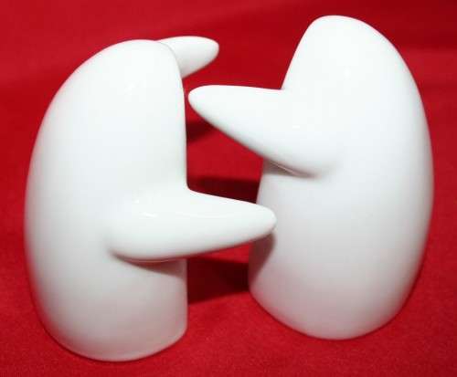 A MAGNIFICENT SALT AND PEPER SHAKER DIFFERENT AND FUN!!!
