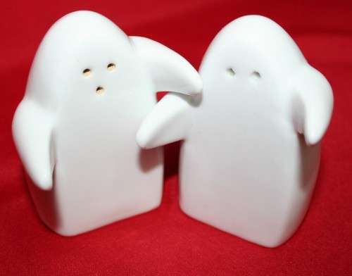 A MAGNIFICENT SALT AND PEPER SHAKER DIFFERENT AND FUN!!!