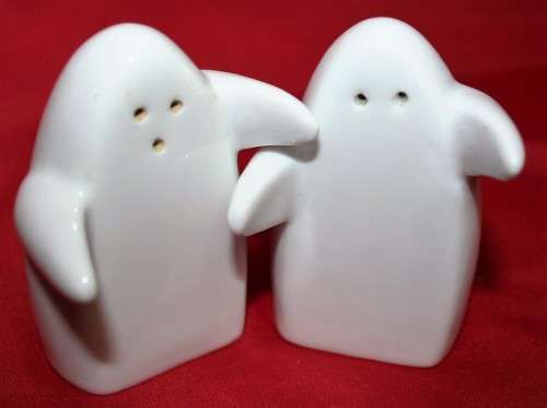 A MAGNIFICENT SALT AND PEPER SHAKER DIFFERENT AND FUN!!!