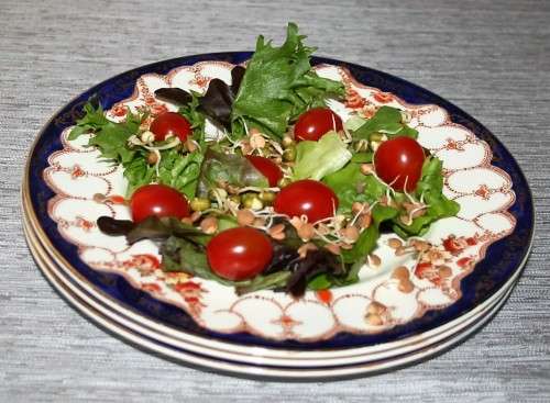 Three Magnificent Side Plates - MYOTT.SON.&CO - ROSEMARY - MADE IN ENGLAND -