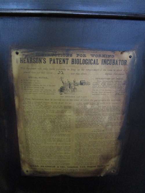 A rare find Hearson's patent Biological Incubator for laboratory use, London, England, 1901-1960