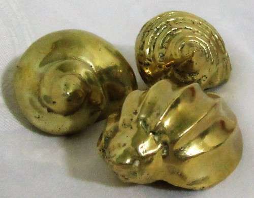 THREE  Brass Seashells Wall Plaques Sea Shell Beach Decor - Nautical Brass