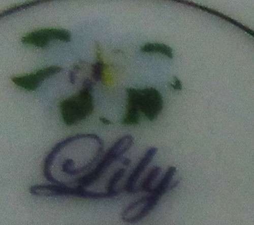 Gorgeous Lily Porcelain Tea Cup and Saucer.  Dark Rich brown with Stunning Gold Detail.