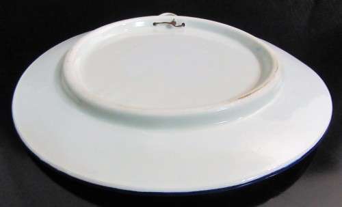 WOW A GORGEOUS COLLECTABLE WALL PLATE 22.7CM WITH THE MOST AMAZING BLUE AND WHITE DESIGN