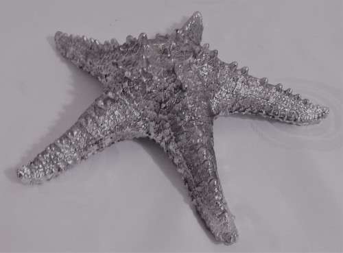A GORGEOUS DECORATIVE SILVER CASTED STARFISH STUNNING TABLE DECORATION