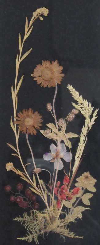 XMAS PROMOTION !!!! TWO MARVELOUS VINTAGE FRAMED PRESSED FLOWER ART
