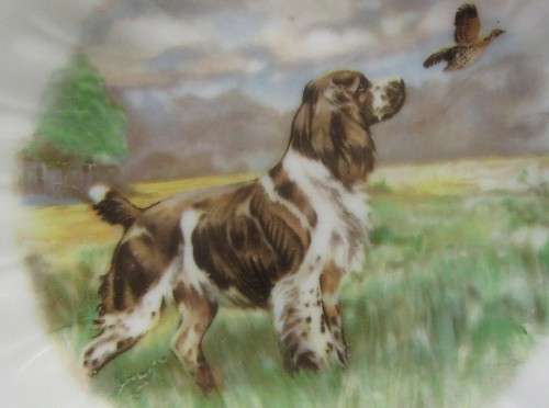 A collectable vintage gainsborough decorative plate