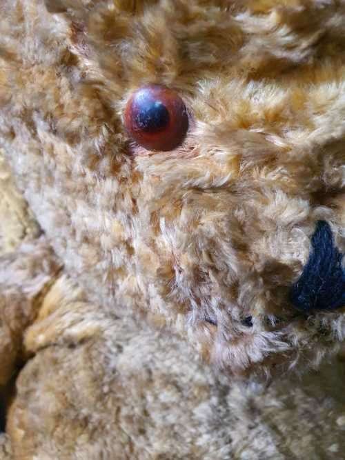 Vintage Plush European 1960 Teddy Bear