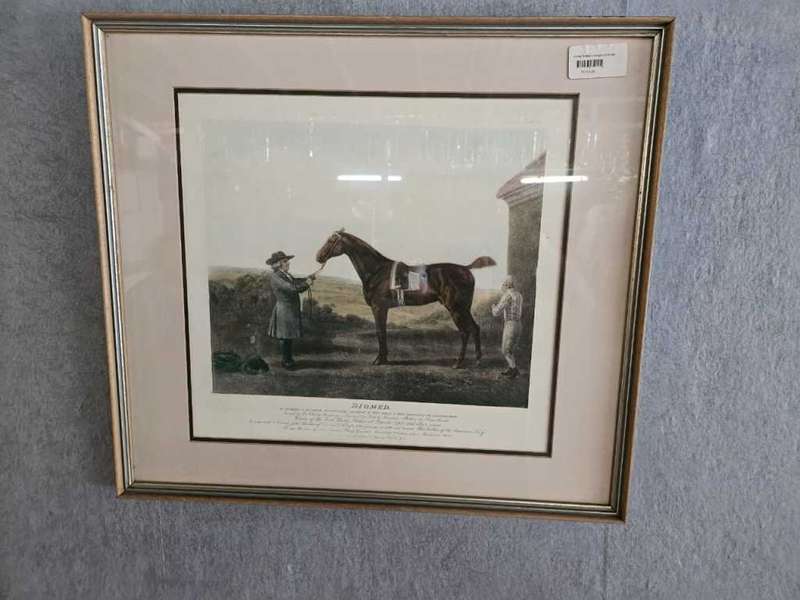 DIOMED Vintage Framed Horse Picture