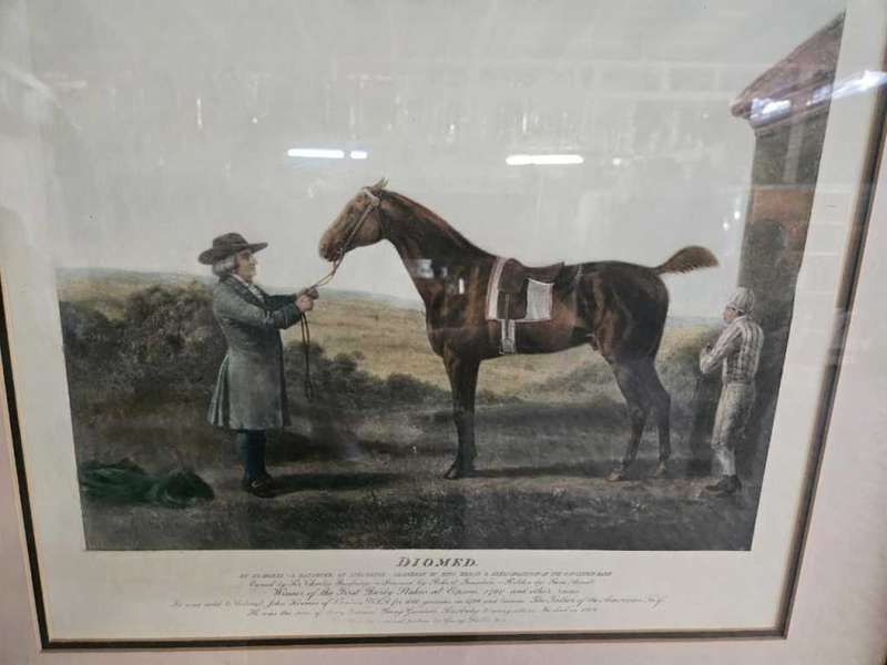 DIOMED Vintage Framed Horse Picture