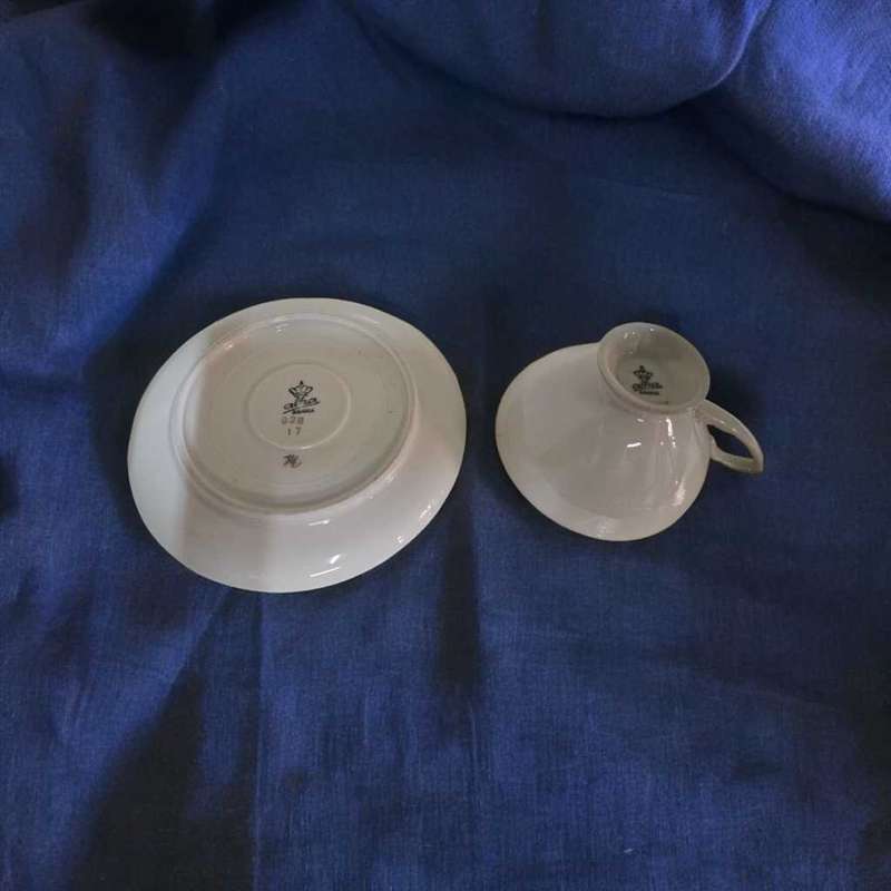 Bavaria Germany demitasse cup & Saucer