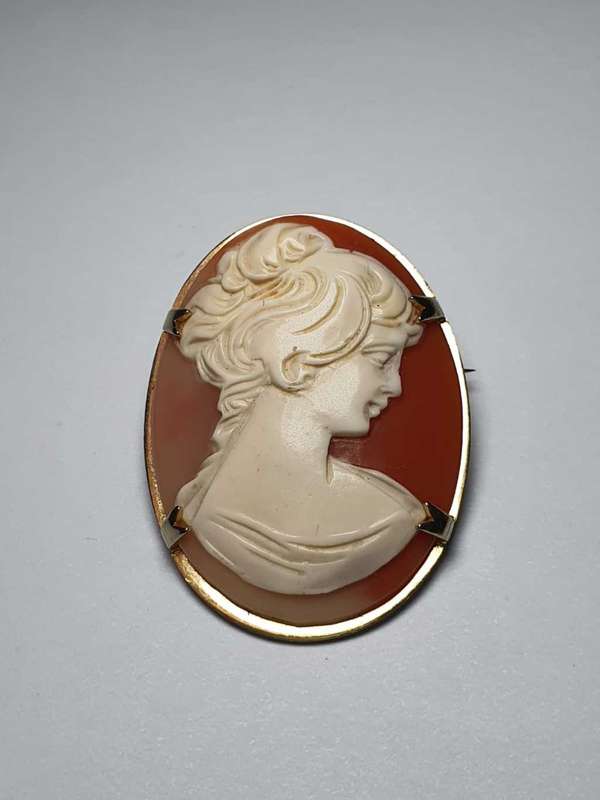 Vintage Cameo Pendant and Brooch