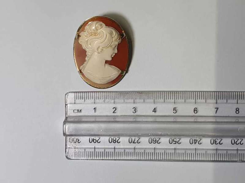 Vintage Cameo Pendant and Brooch