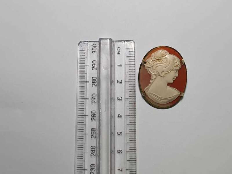 Vintage Cameo Pendant and Brooch