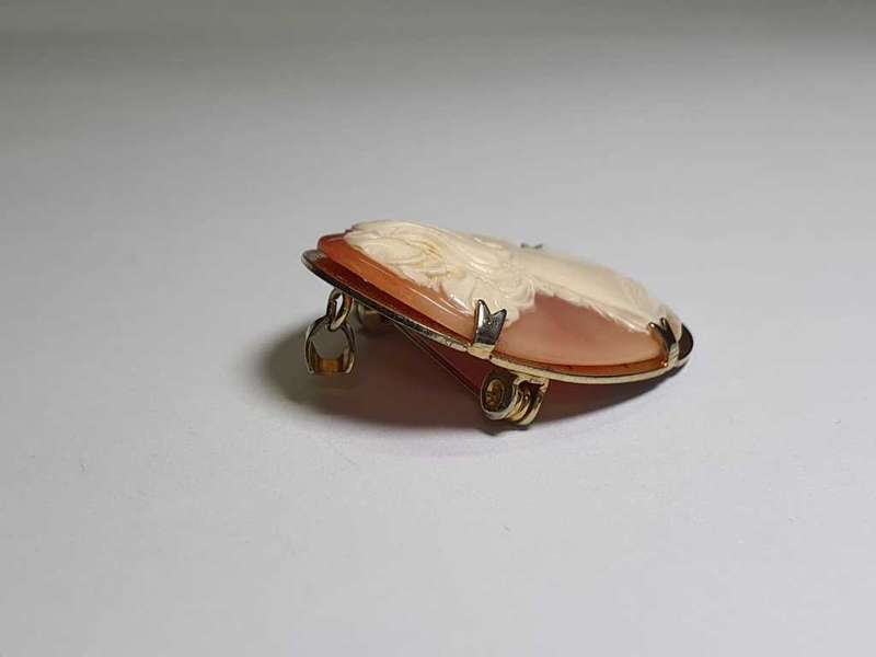 Vintage Cameo Pendant and Brooch