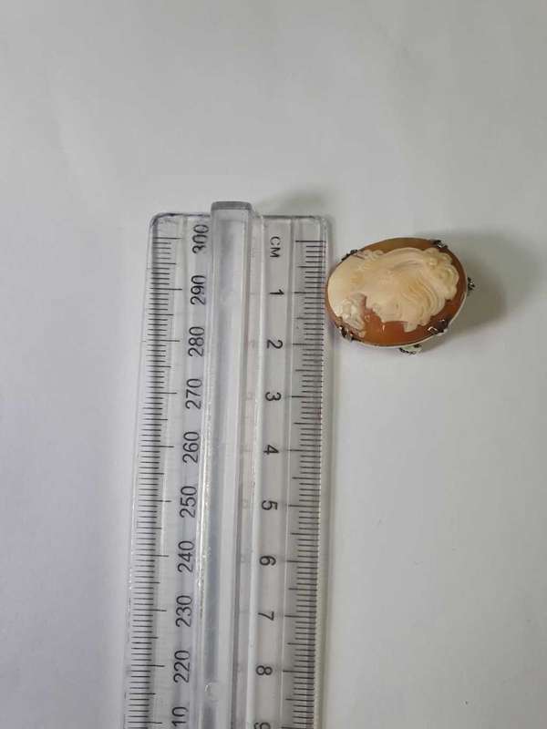 Vintage Cameo Brooch