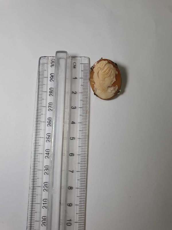 Vintage Cameo Brooch