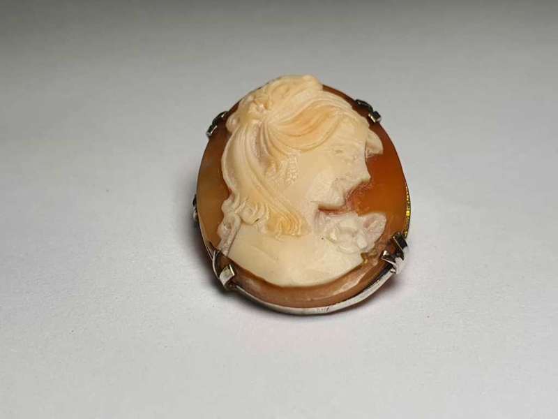 Vintage Cameo Brooch