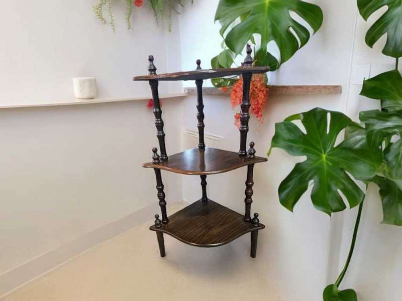 Timeless elegance of the Wot Not Stand, measuring 74x33x46cm