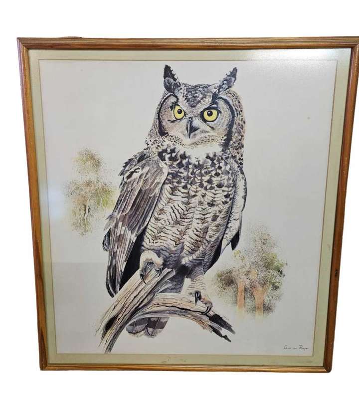 Owl Print by Chris van Rooyen